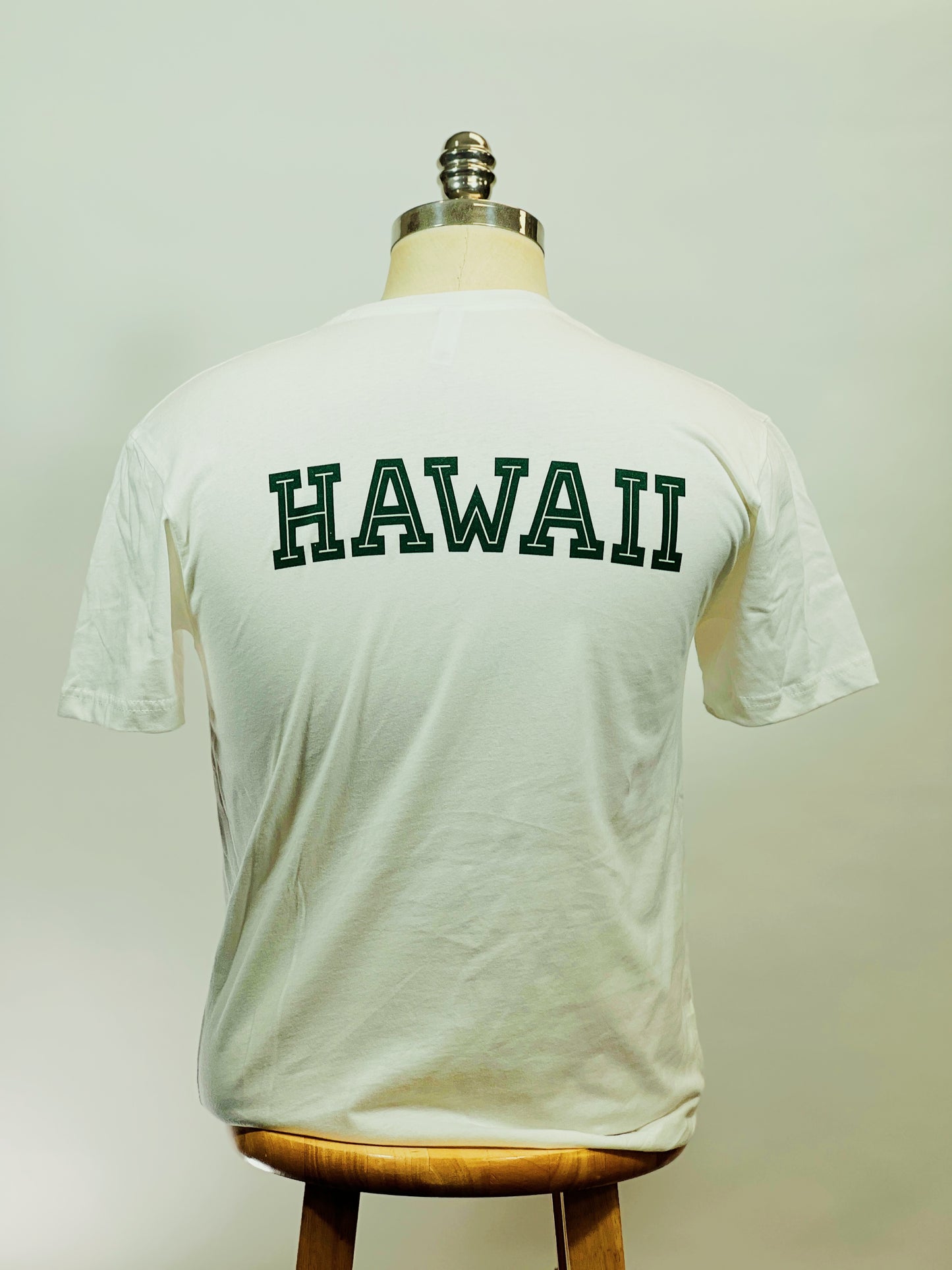 White w/ Forest Green Every Day Better Box Logo HAWAII Tee look